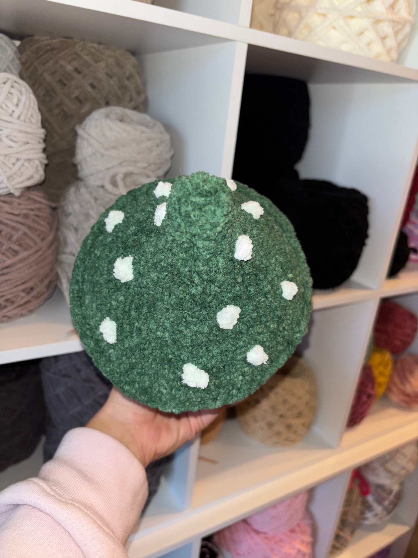 Green Mushroom Crochet Plushie